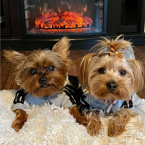 Meet your Posher, Mary - Picture 3 of 4